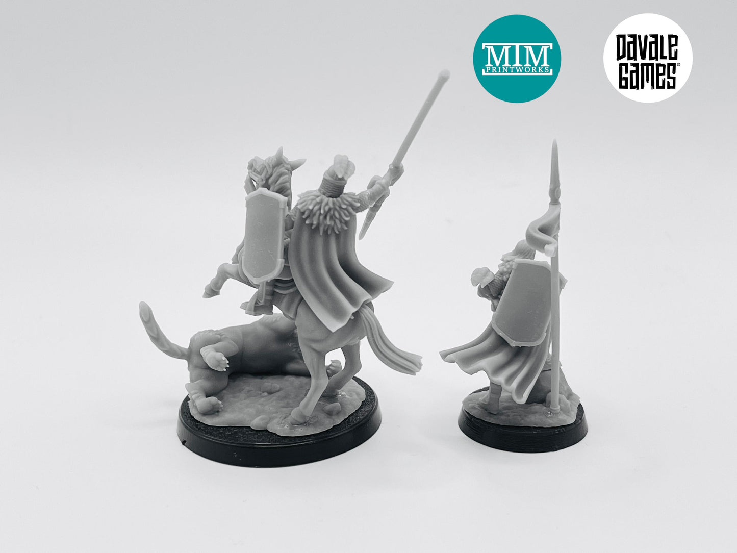 Northern Kingdom Warrior Captain