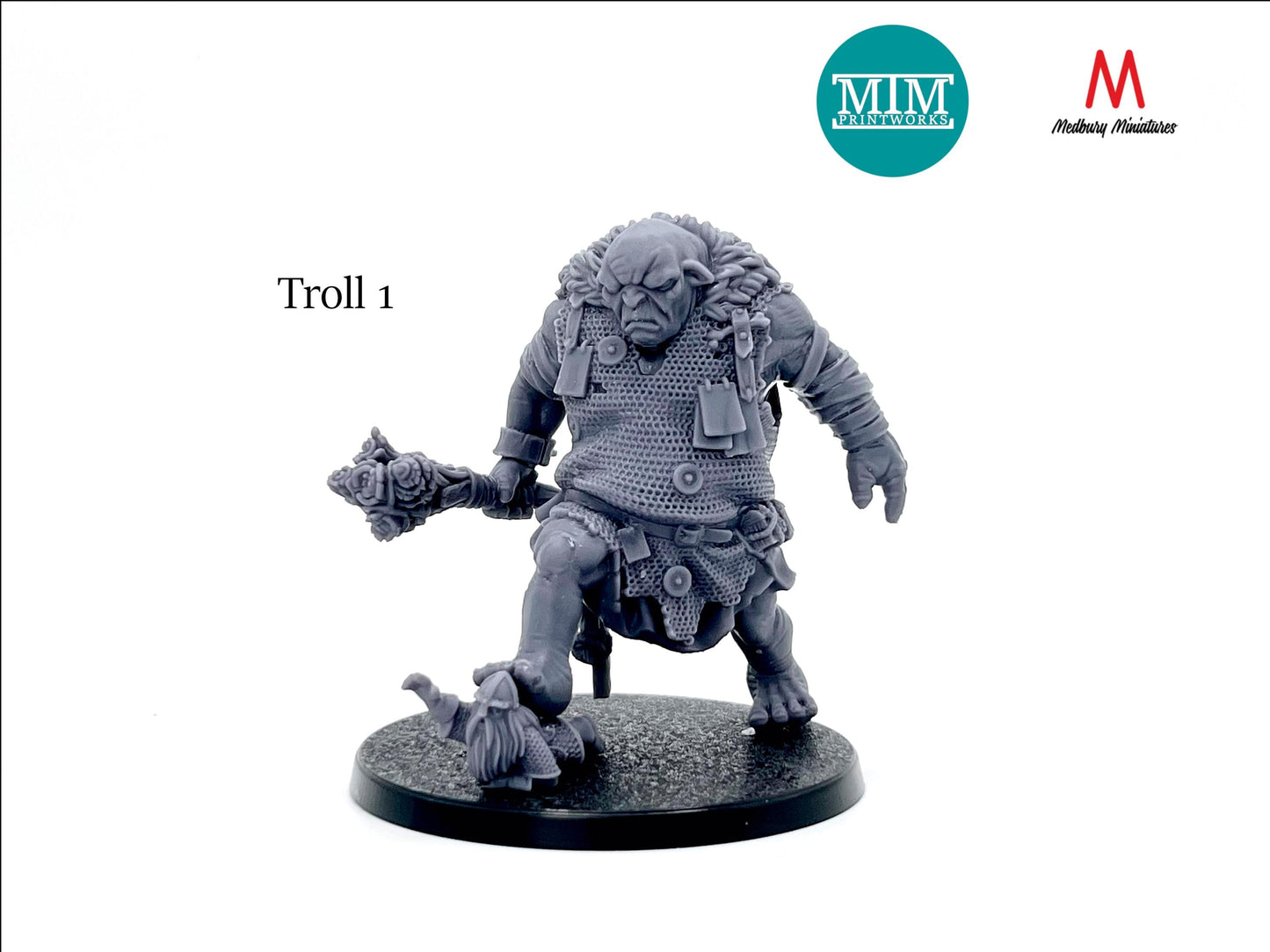 Armoured Troll Warband