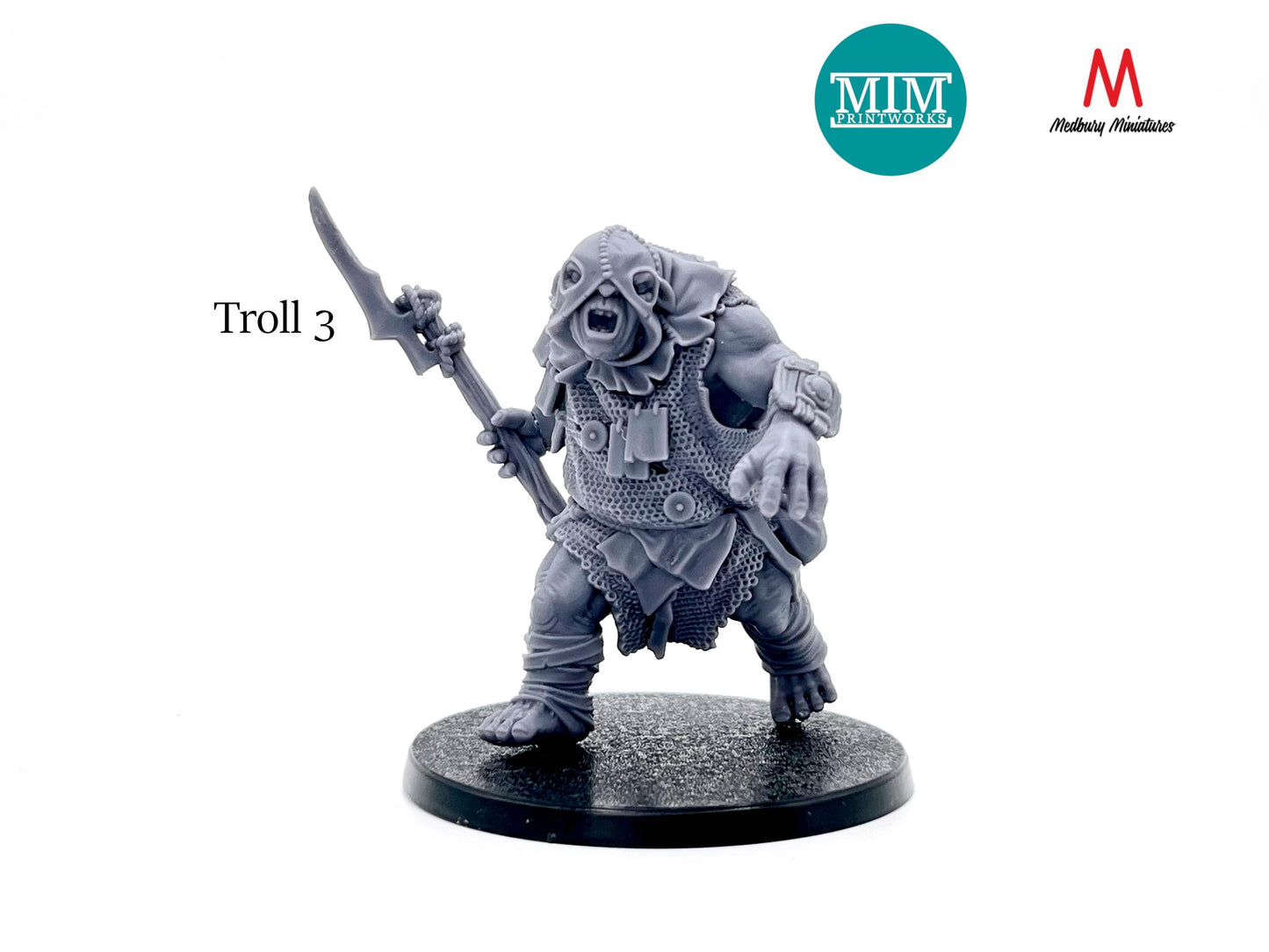 Armoured Troll Warband