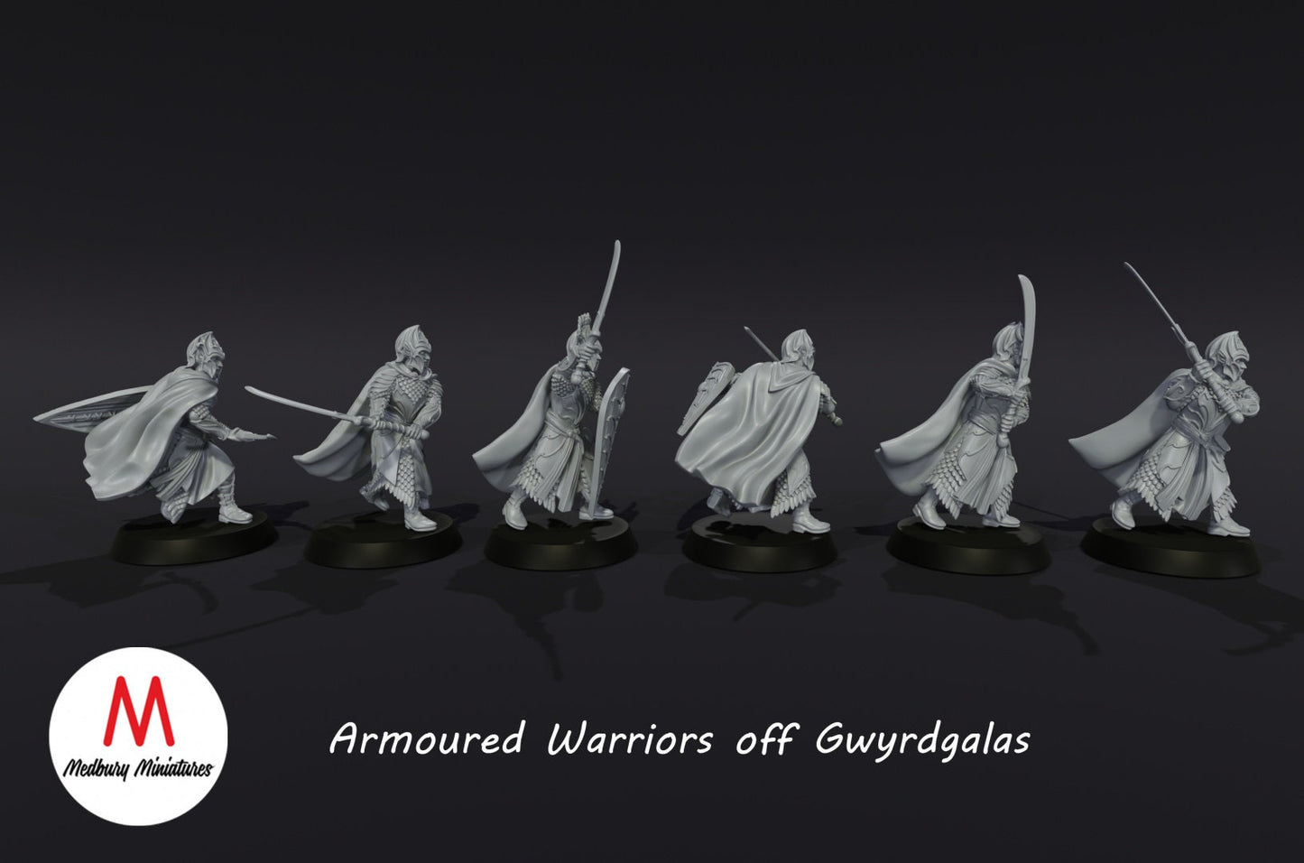 Armoured Elven Warriors of Gwyrdgalas