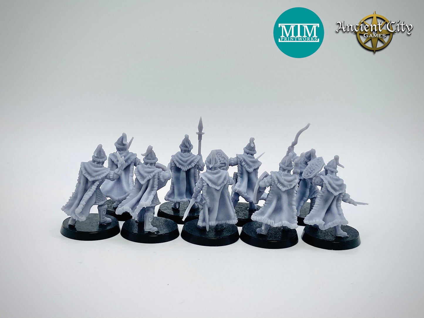 Northern Garrison Warrior Warband