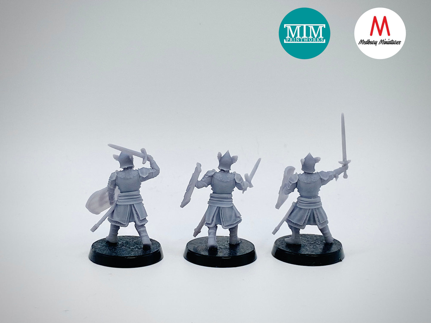 Southern Kingdom Dismounted Bannermen