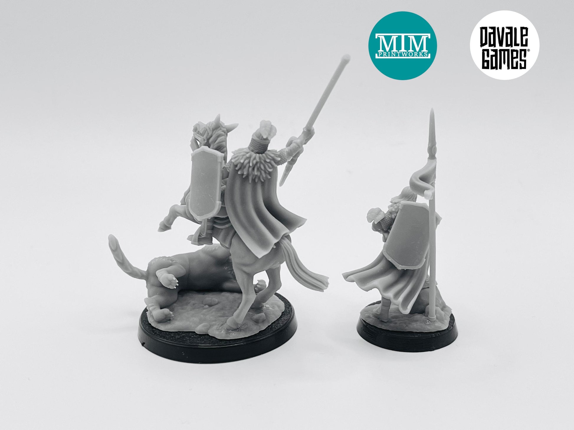 Northern Kingdom Warrior Captain