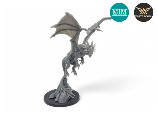 Young Dragon