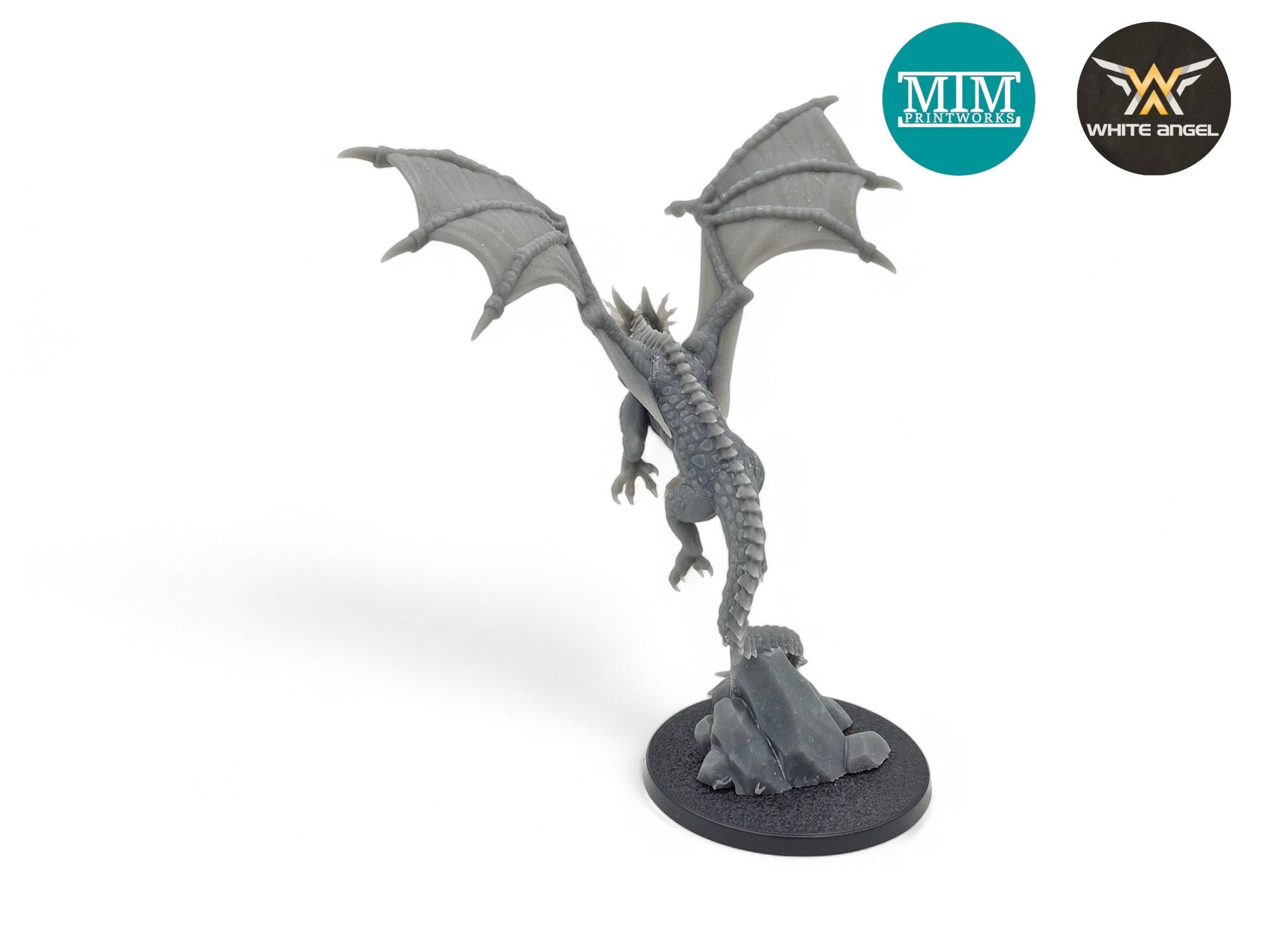 Young Dragon