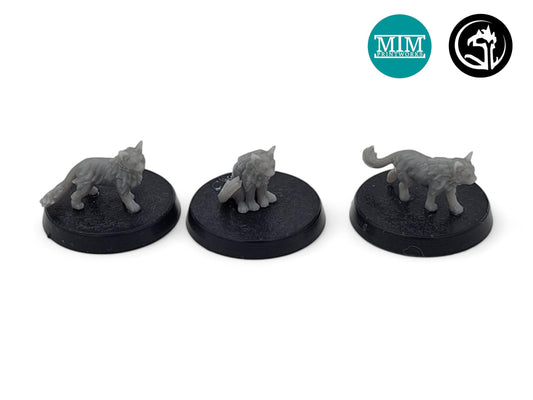 Cat Familiars | Tabletop RPG Miniature | D&D | Roleplaying