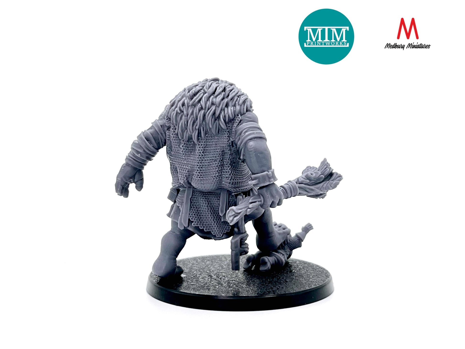 Armoured Troll Warband