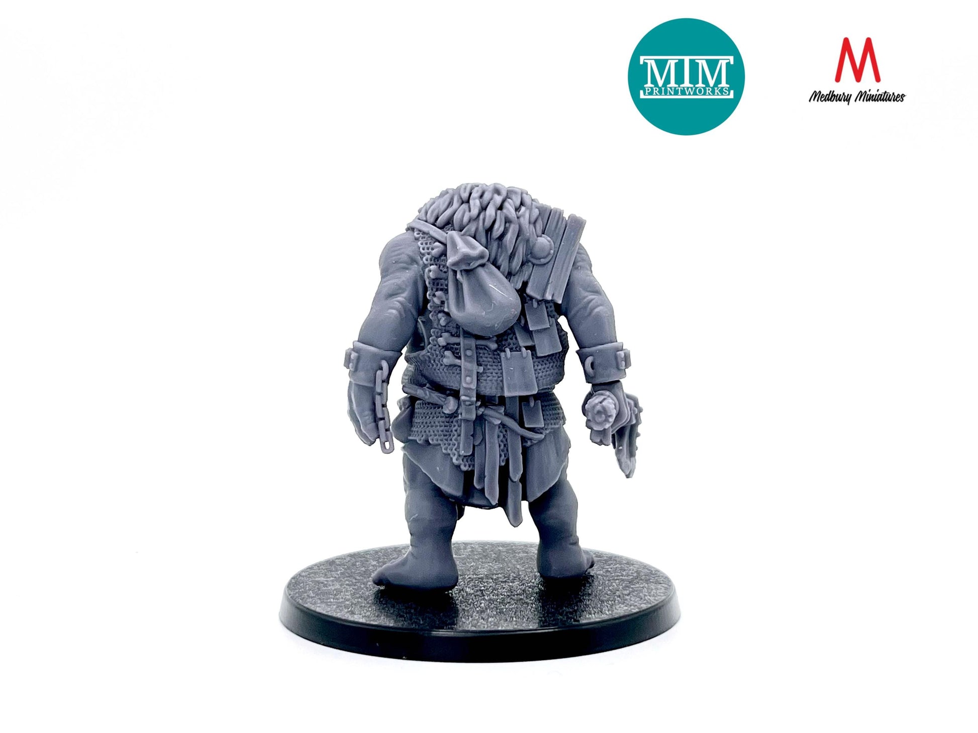 Armoured Troll Warband