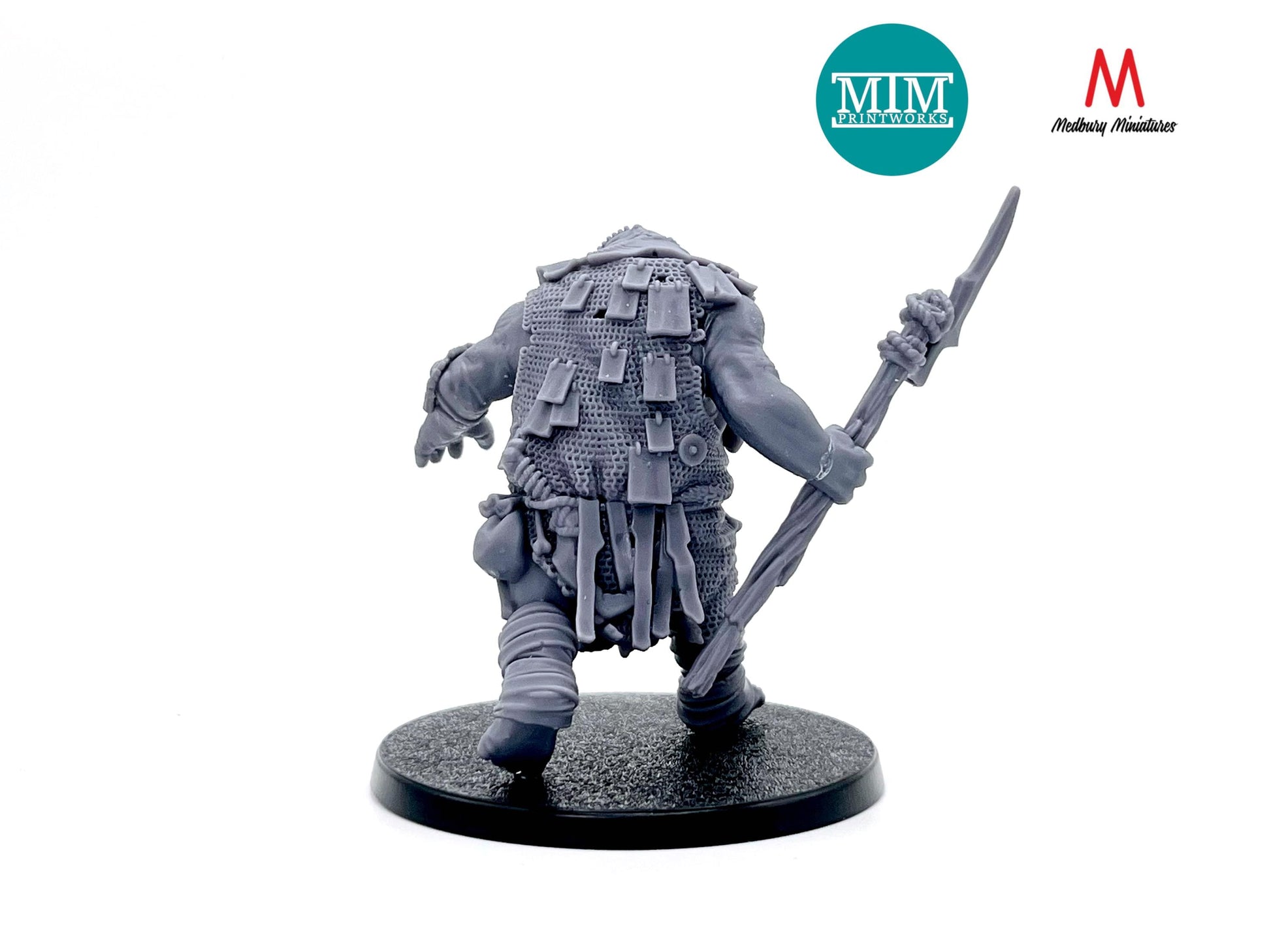 Armoured Troll Warband