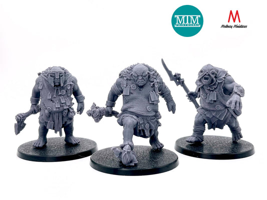 Armoured Troll Warband