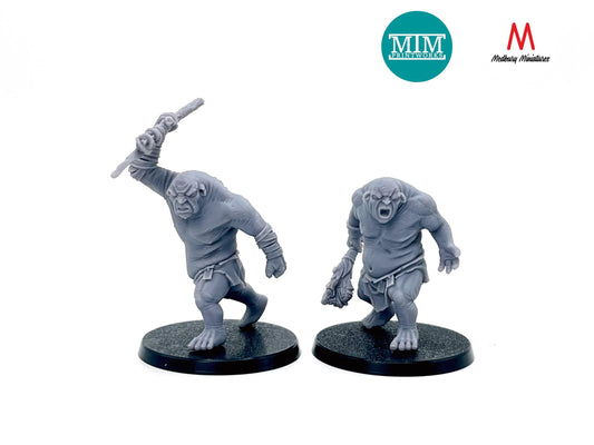 Cave Trolls