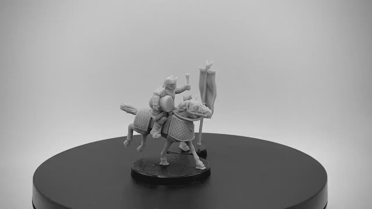 Eastern Immortal Command Units