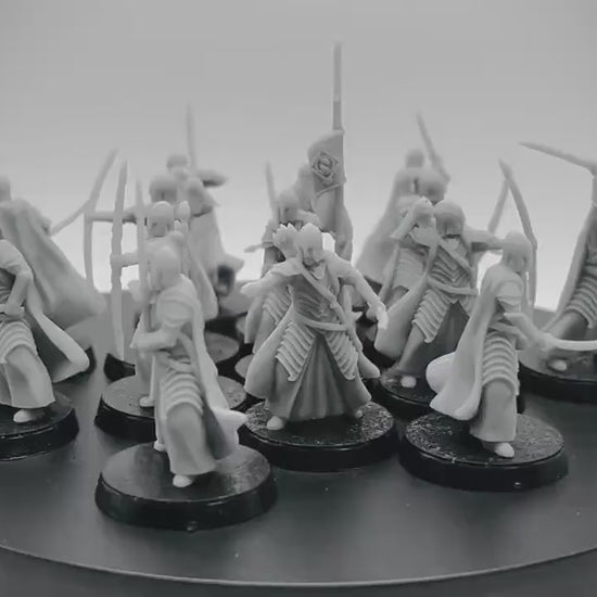 Bloody Elven Warband
