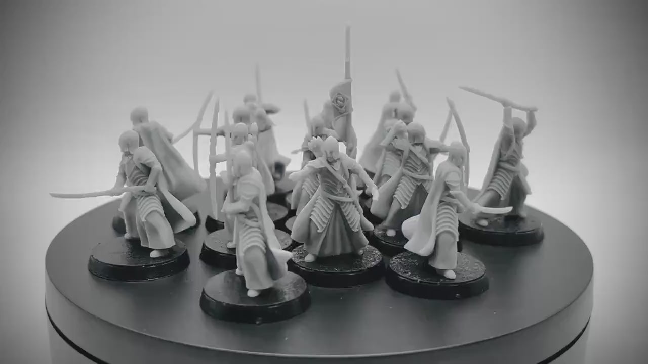 Bloody Elven Warband