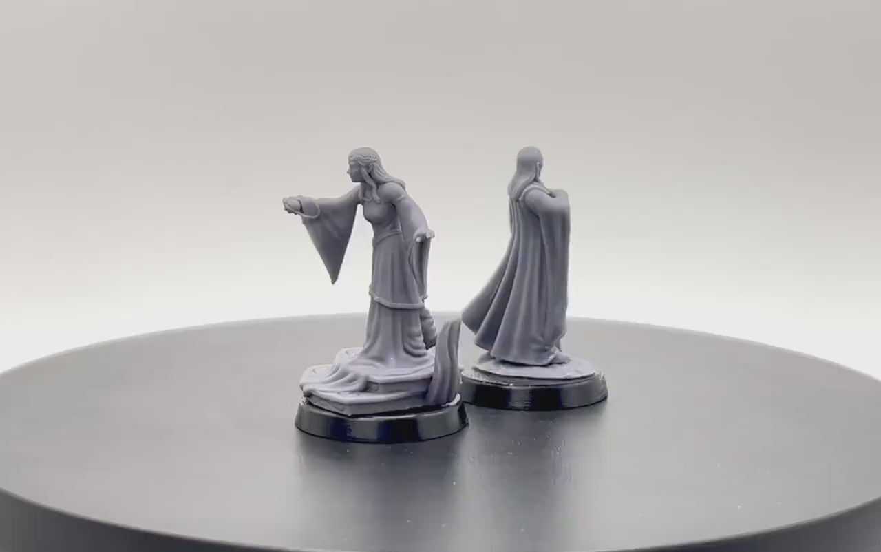 Lord and Lady of the Galanthir Elves