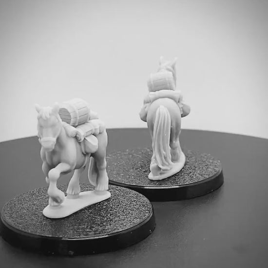 Pack Ponies