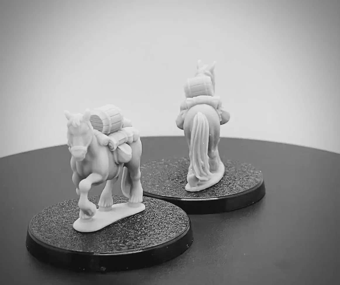 Pack Ponies