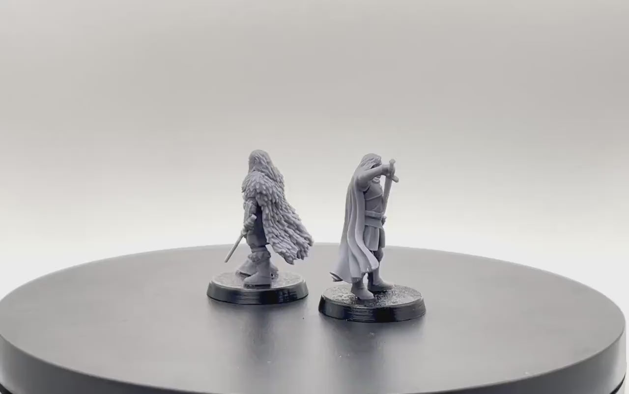 Lord Frederic and the Turncloak