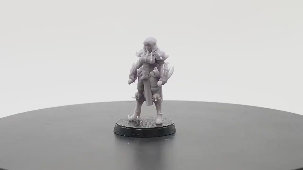 Tundra Female Drow Rogue | Tabletop RPG Miniature | D&D | Roleplaying