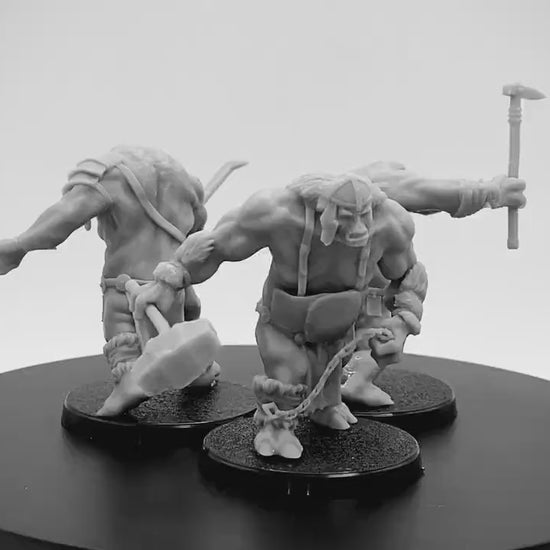 Northern Troll Warband