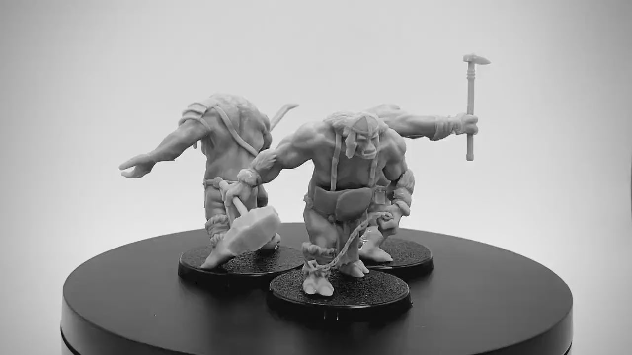Northern Troll Warband
