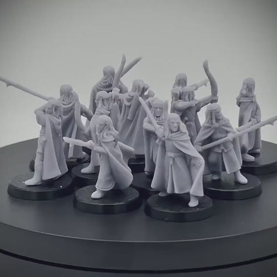 Elven Militia Warband