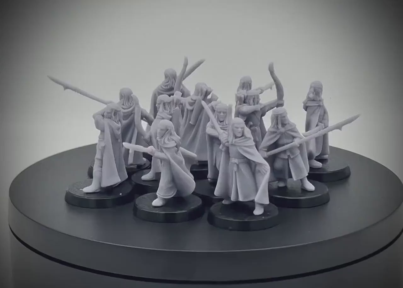 Elven Militia Warband