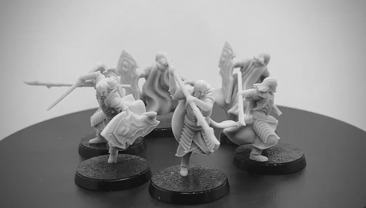 Bloody Elven King's Guard
