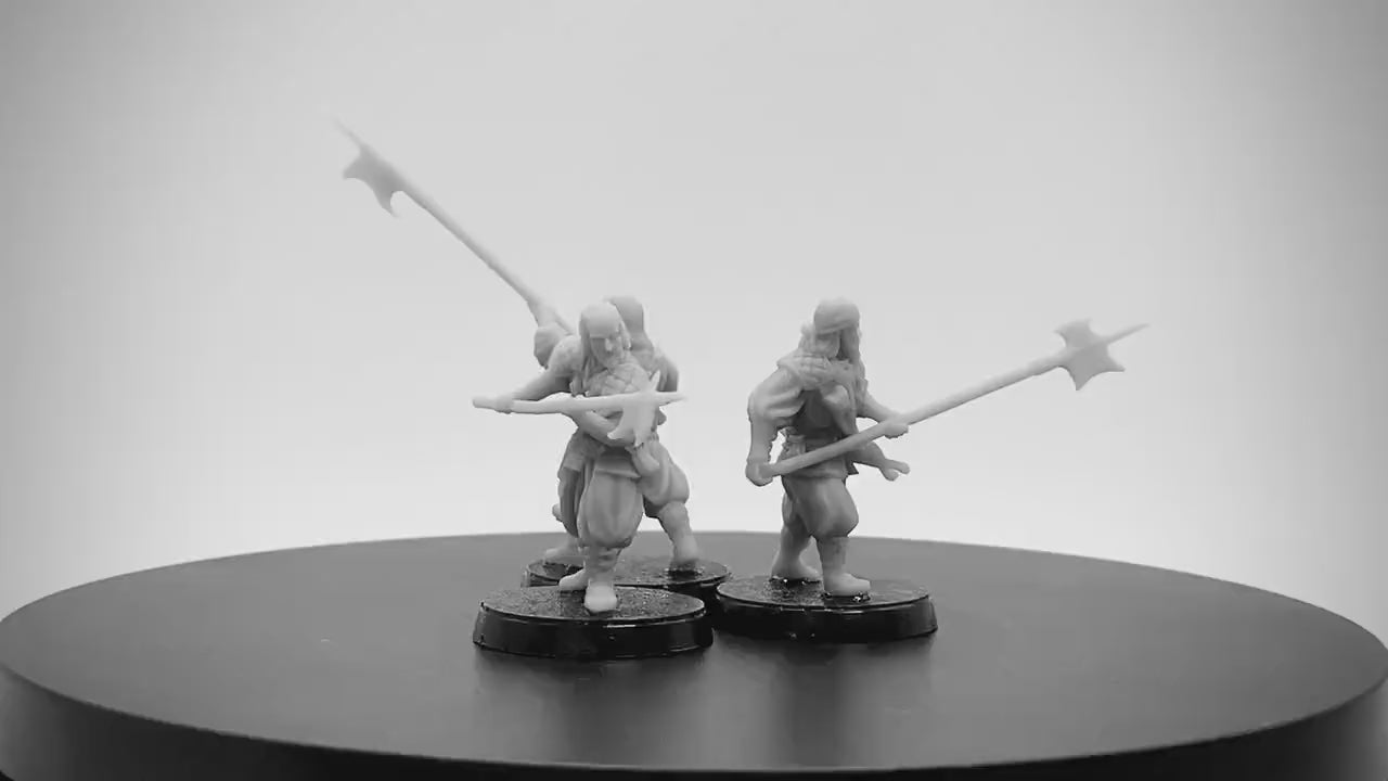 Rising Sun Pirate Warriors with Spear