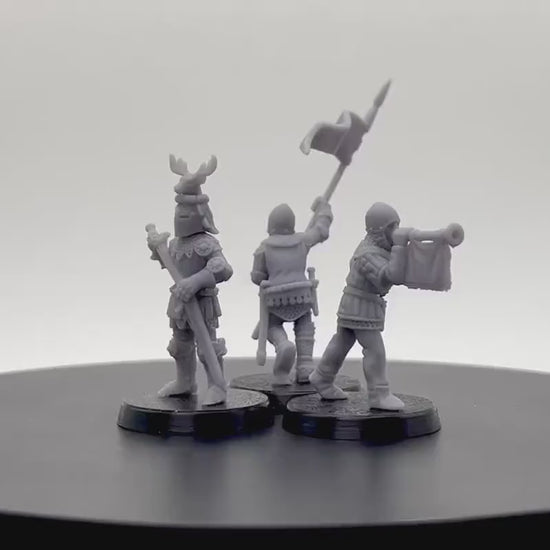 14th Century Knights Command