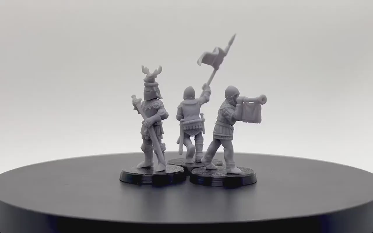 14th Century Knights Command