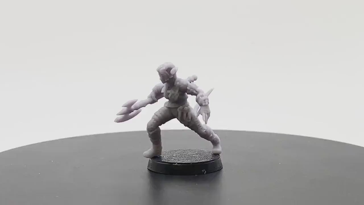 Tiefling Barbarian 1 | Tabletop RPG Miniature | D&D | Roleplaying
