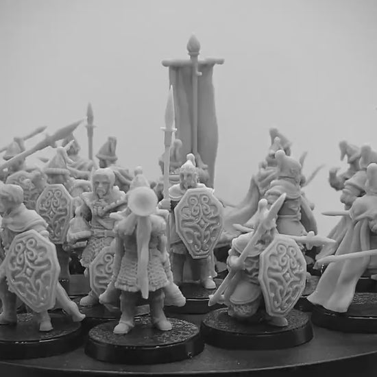 Northern Garrison Warrior Army