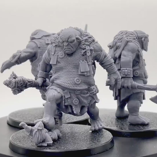 Armoured Troll Warband