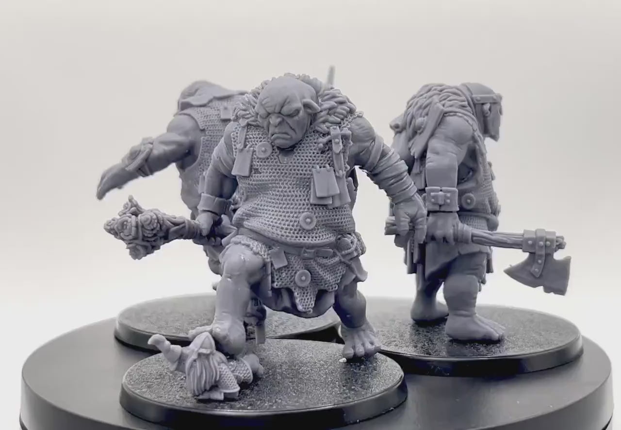 Armoured Troll Warband
