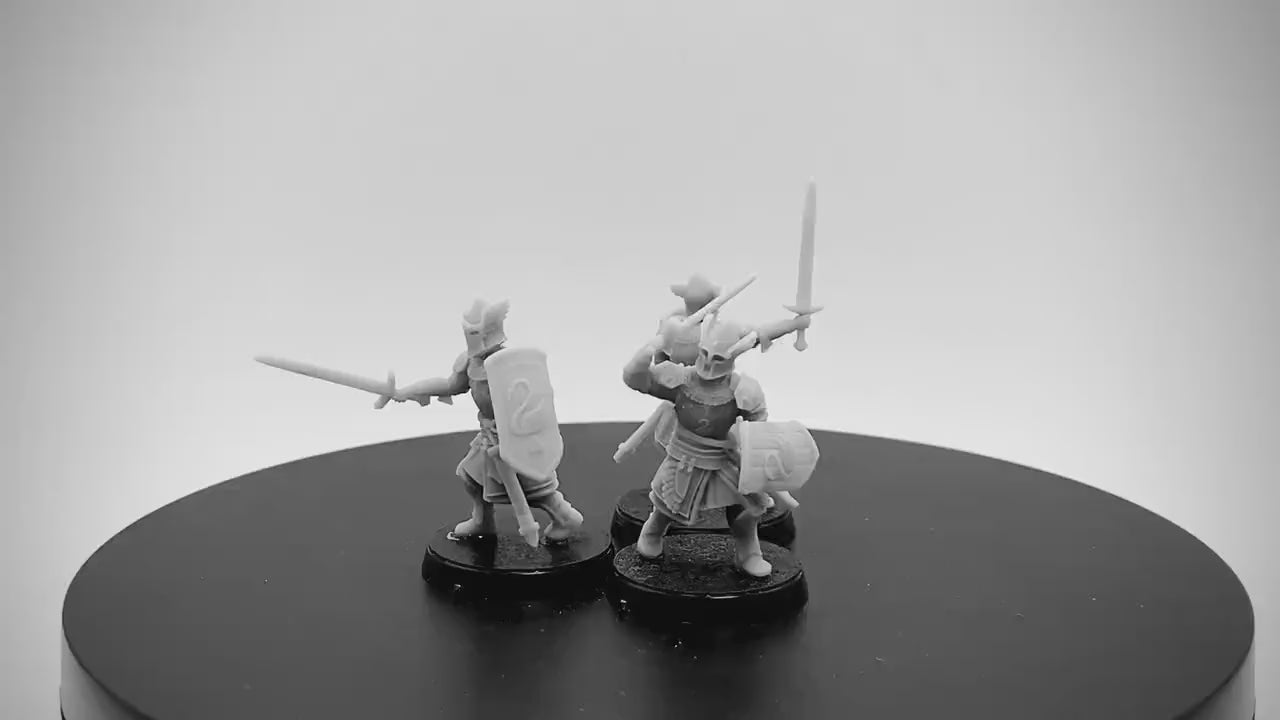 Southern Kingdom Dismounted Bannermen