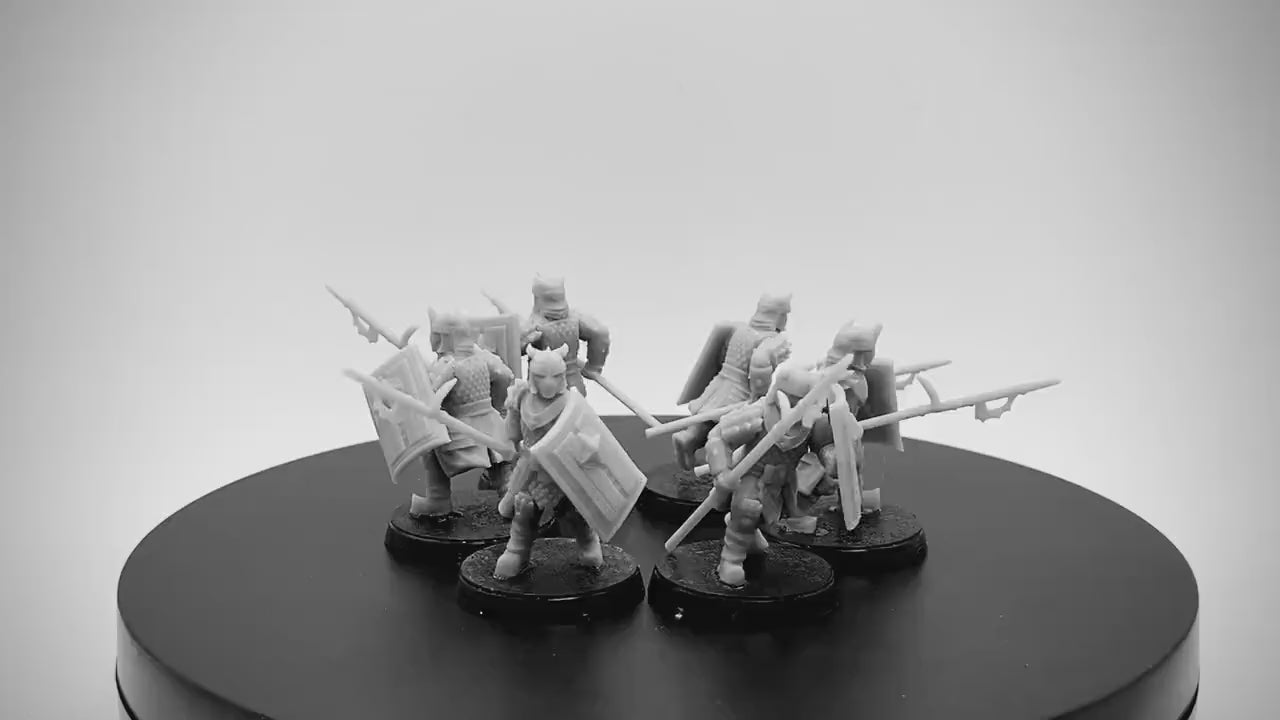 Eastern Warriors with Pikes