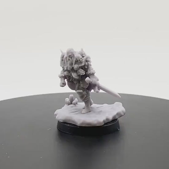 Wandering Viking Lord