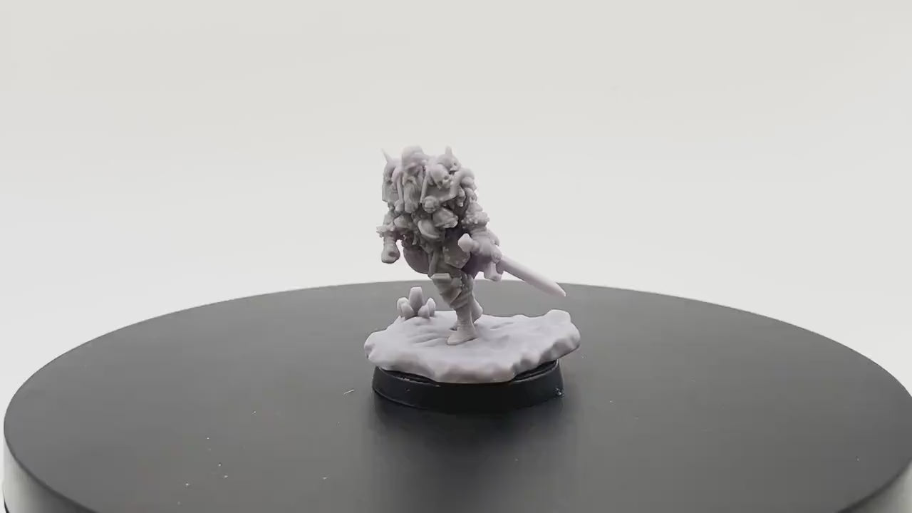 Wandering Viking Lord