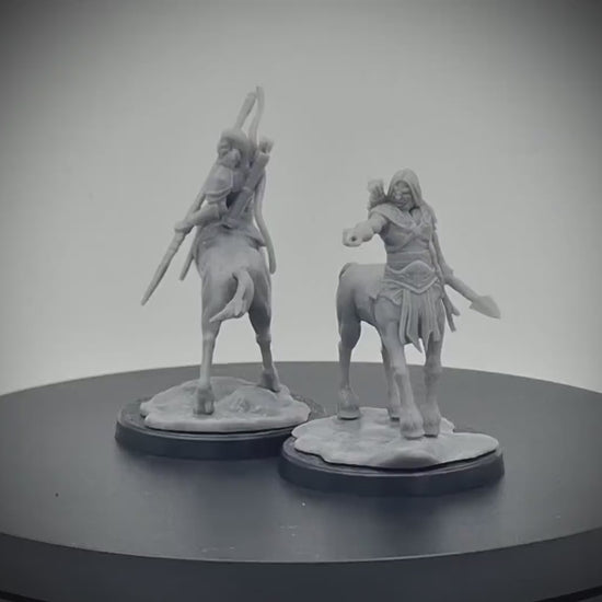Centaur Lancers | Tabletop RPG Miniature | D&D | Roleplaying