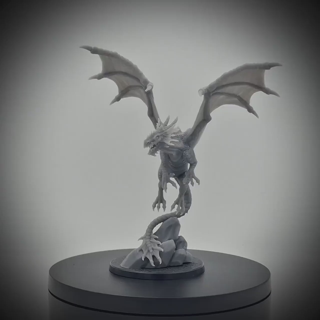 Young Dragon