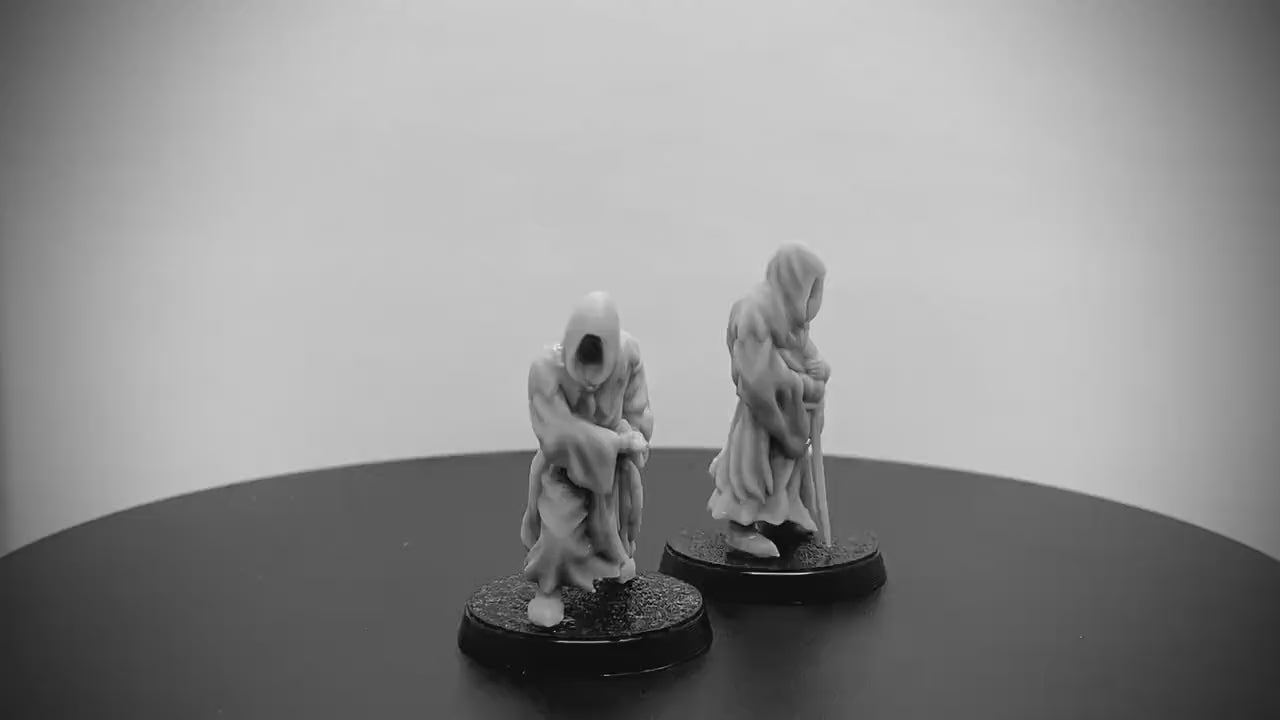 Hooded Wraiths