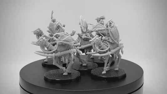 Far South Camel Riders