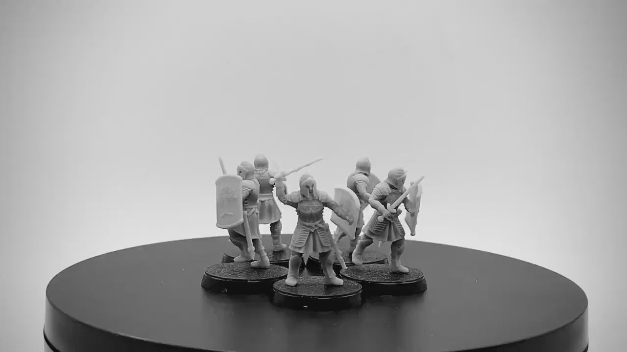 Frontier Fiefdom Warriors