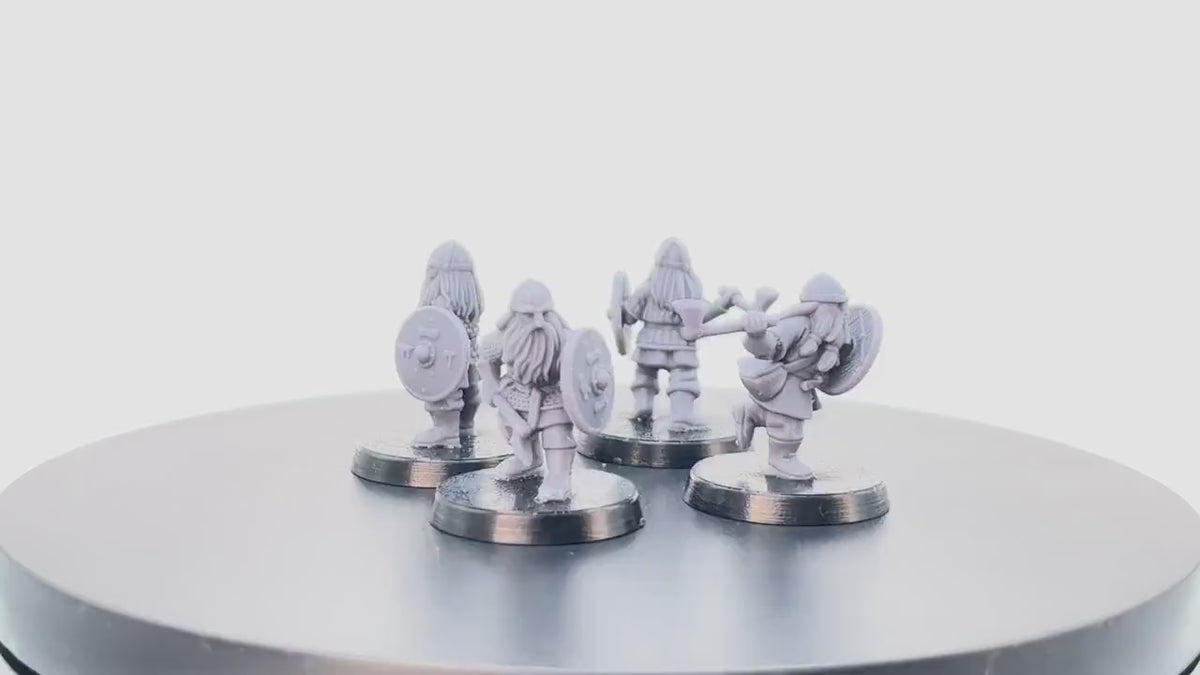 Dwarven Kingdom Axe Wielders