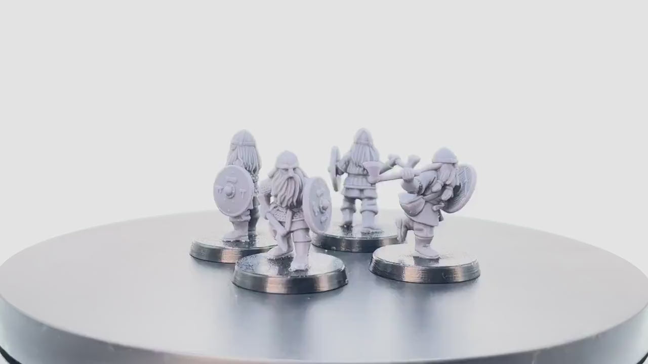 Dwarven Kingdom Axe Wielders