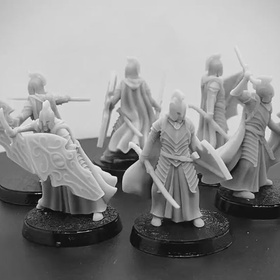 Bloody Elven Warriors with Shield