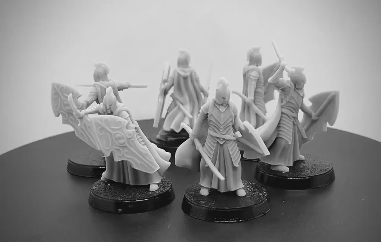 Bloody Elven Warriors with Shield