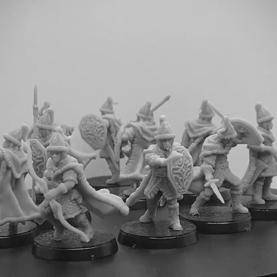 Northern Garrison Warrior Warband