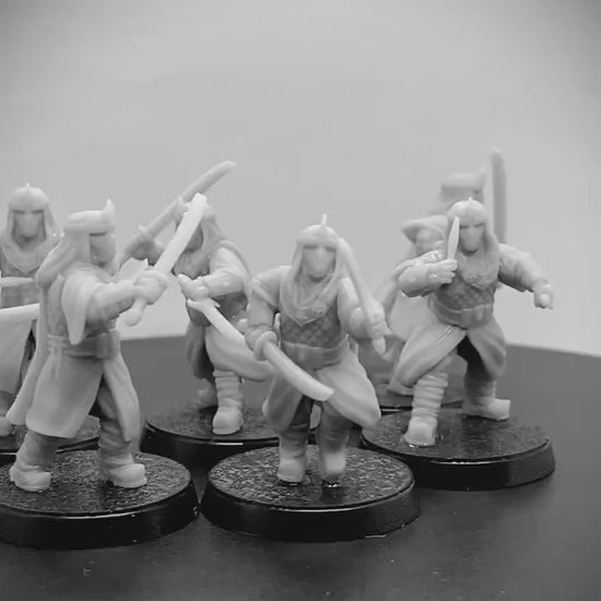 Dragon Cult Assassin Warband